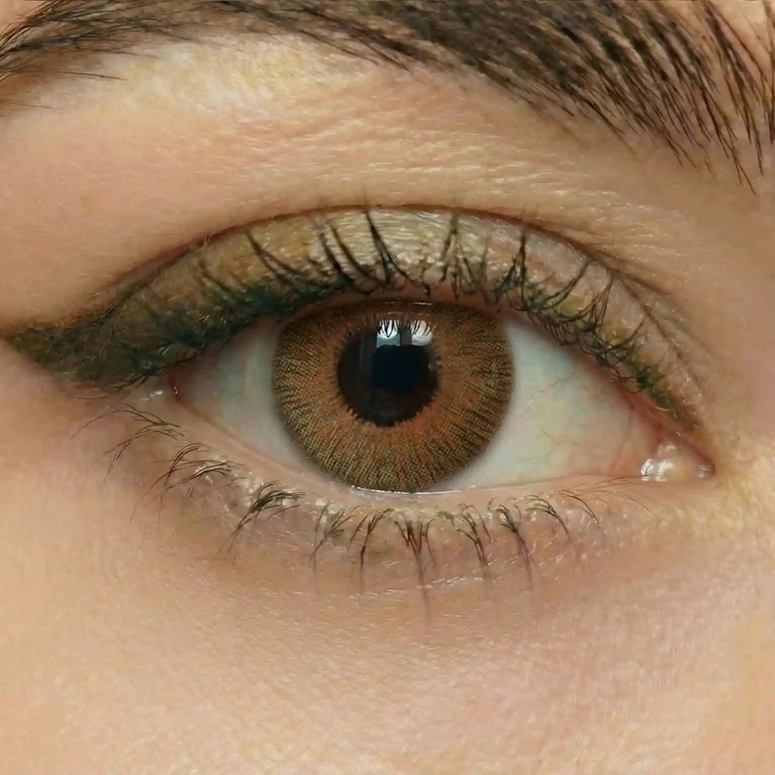 Terracotta Ray Lenses