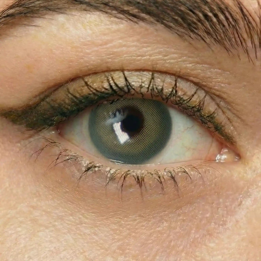 Sweet Tea Ray Lenses